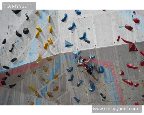 北京攀岩队进攻策略分析与比赛表现评估的全面探讨