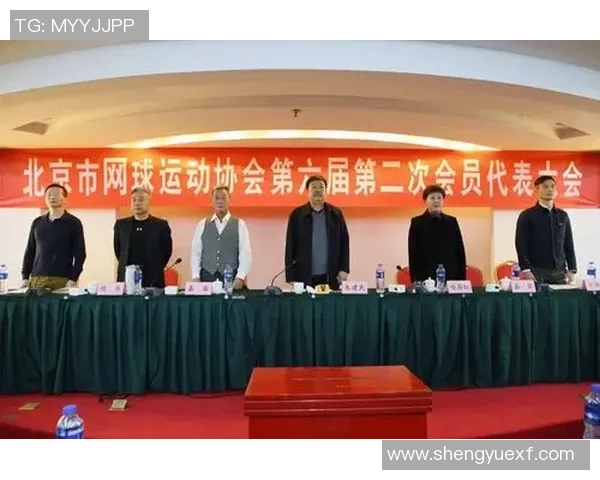 北京网球队的节奏变化与表现分析：从胜利到失利的深度剖析